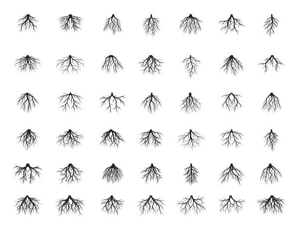 Set of Black Roots Tree. Vector Illustration.