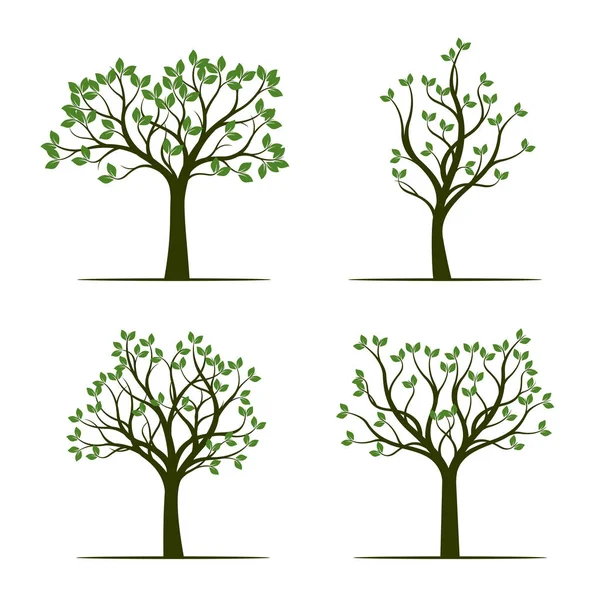 Set of green Trees with Leaves. Vector Illustration. — Stock Vector