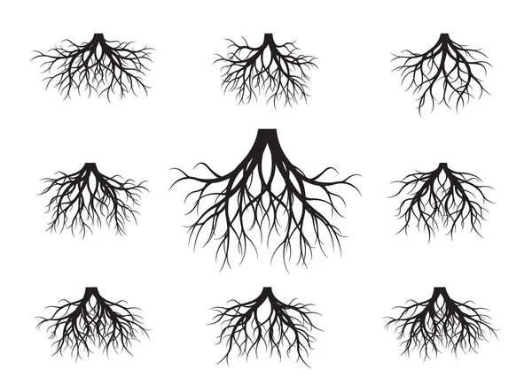 Μεγάλη Συλλογή Από Μαύρη Ρίζα Δέντρου Εικονογράφηση Διάνυσμα Φυτά Και — Διανυσματικό Αρχείο