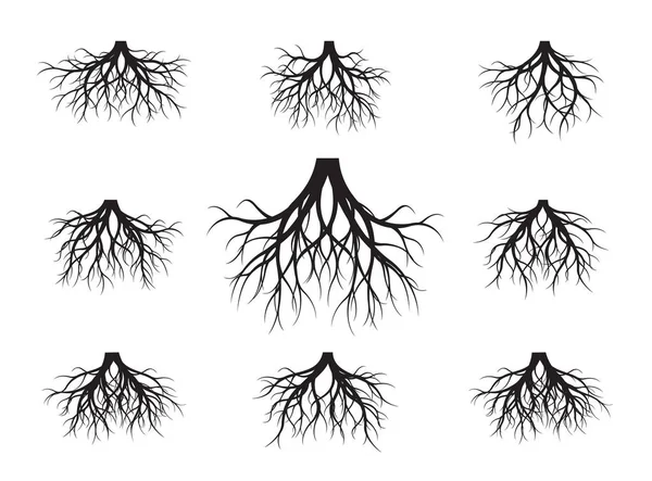 Colecție Mare Black Root Tree Ilustraţie Vectorială Plante Grădină — Vector de stoc