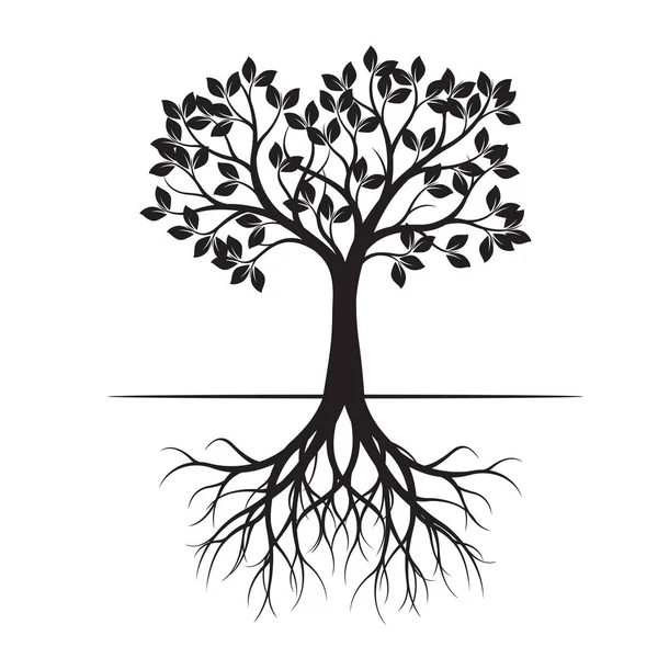 Árbol Primavera Negro Con Raíz Ilustración Vectorial Planta Jardín — Vector de stock