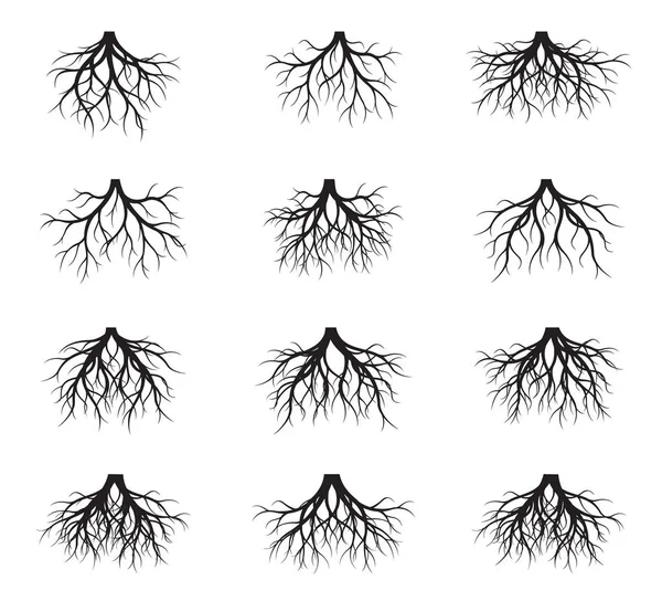 Grande Collezione Black Root Tree Illustrazione Vettoriale Piante Giardino — Vettoriale Stock