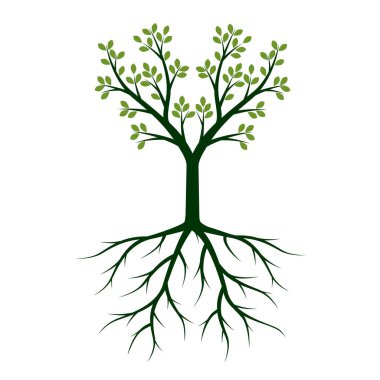 Yaprakları ve kökleri olan yeşil ağaç. Vektör taslağı çizimi. Bahçede Bitki.