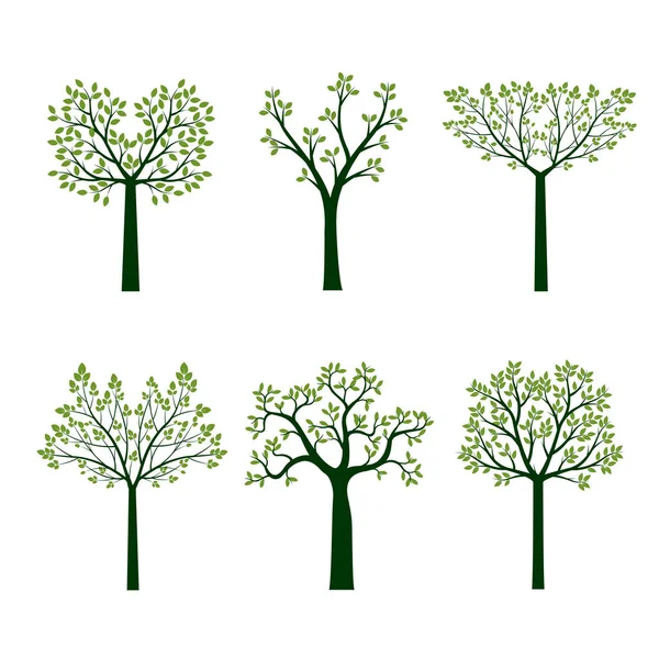 Набор Деревьев Листьев Векторная Иллюстрация Коллекция Икон — стоковый вектор
