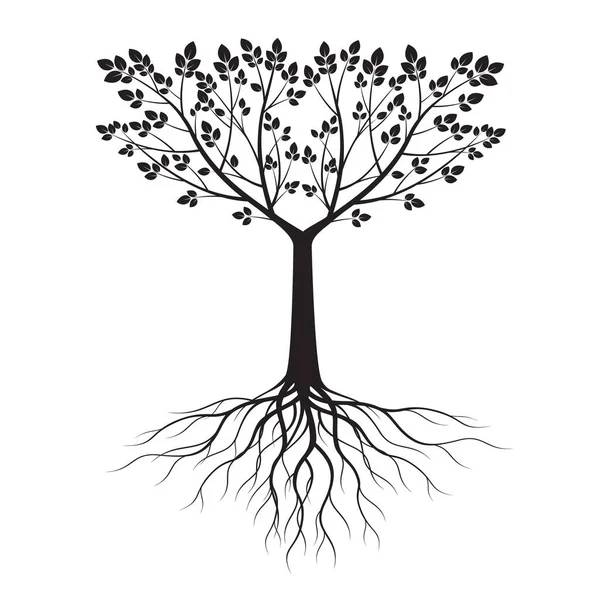 Czarny Kształt Drzewa Liśćmi Korzeniami Zarys Wektora Ilustracja Roślina Ogrodzie — Wektor stockowy
