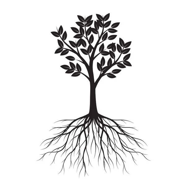 Forma Negra Del Árbol Con Hojas Raíces Esquema Vectorial Ilustración — Vector de stock