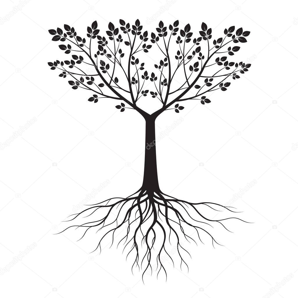 Black shape of Tree with Leaves and Roots. Vector outline Illustration. Plant in Garden.