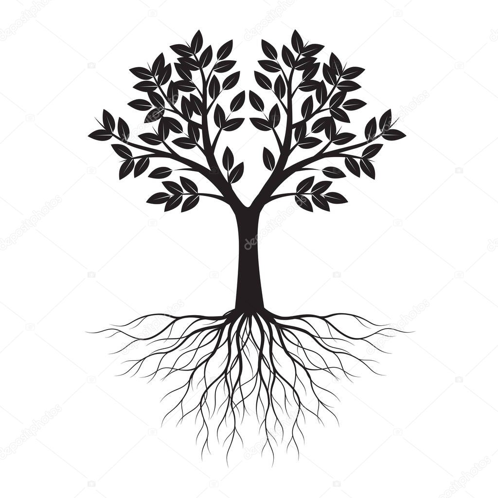 Black shape of Tree with Leaves and Roots. Vector outline Illustration. Plant in Garden.