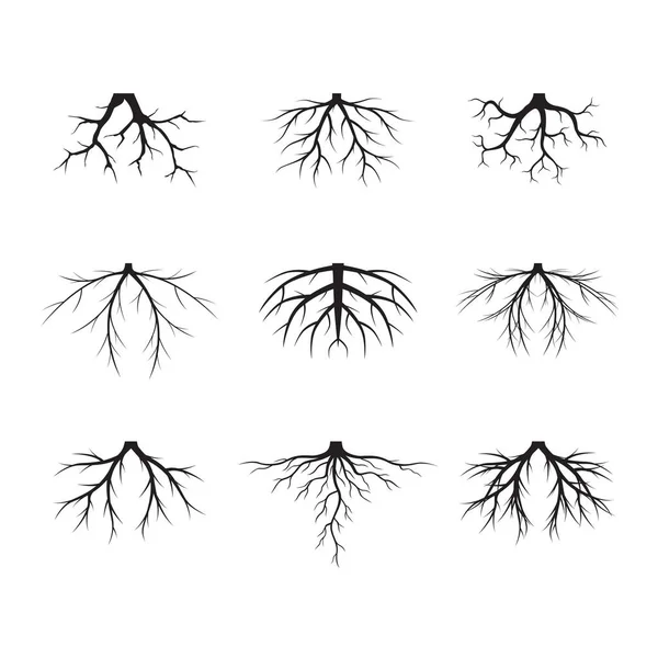 Set Black Trees Roots Vector Illustration Collection Icons — Stock Vector