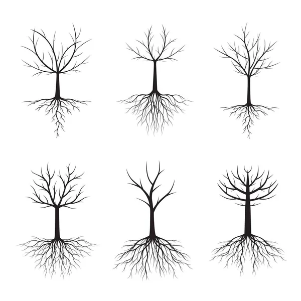 Set Alberi Neri Con Radici Illustrazione Vettoriale Raccolta Icone — Vettoriale Stock