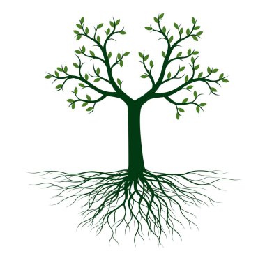 Yapraklı Yeşil Ağaç. Vektör taslağı çizimi. Bahçede Bitki.