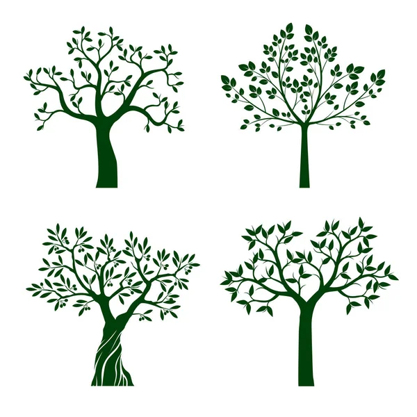 Ensemble Arbres Forme Verte Illustration Vectorielle Plante Jardin — Image vectorielle