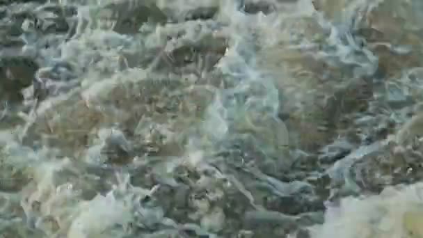 Laver le sillage d'un bateau de croisière 