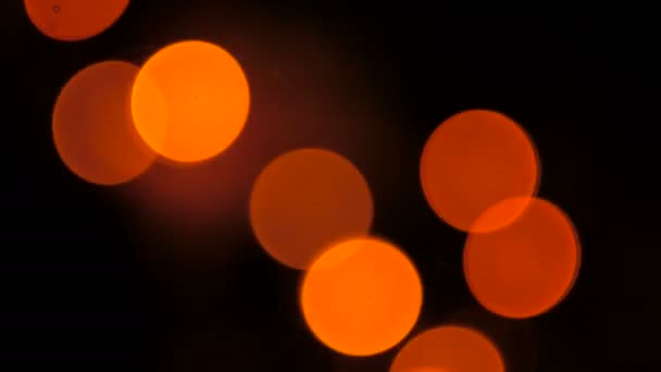 Natale e Capodanno Bokeh sfondo . — Video Stock