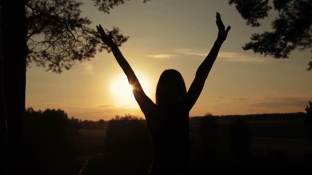 Silhouette einer Frau im Wald bei Sonnenuntergang. Freiheitskonzept. — Stockvideo