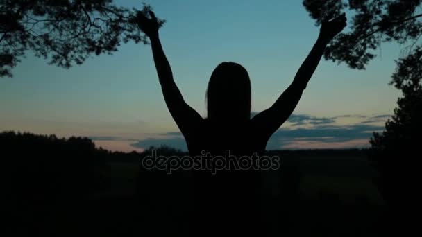 Gelukkig jonge vrouw silhouet tegen hemel liften handen omhoog in de lucht — Stockvideo