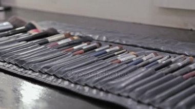 Portre profesyonel kozmetik makyaj fırçaları