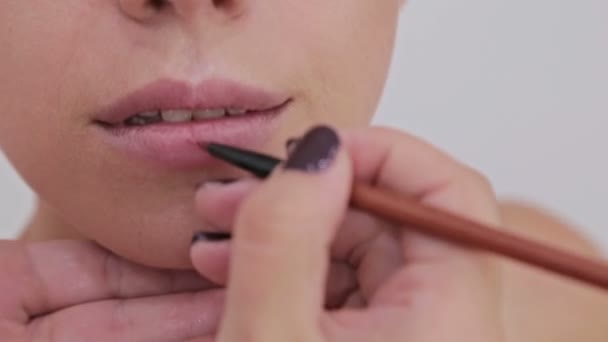 6 ショット。プロのメーキャップ アーティスト モデルの唇に口紅を適用します。 — ストック動画