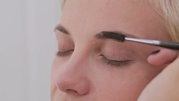 Primer plano. Maquillaje profesional artista peinado, arrancando las cejas del cliente — Vídeos de Stock