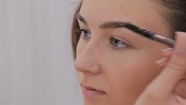 Professional make-up artist drawing eyebrows — Stock Video