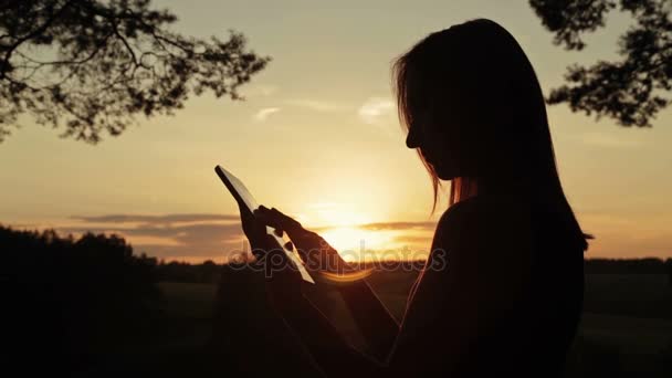 Sílhueta feminina usando um tablet digital na floresta ao pôr do sol — Vídeo de Stock