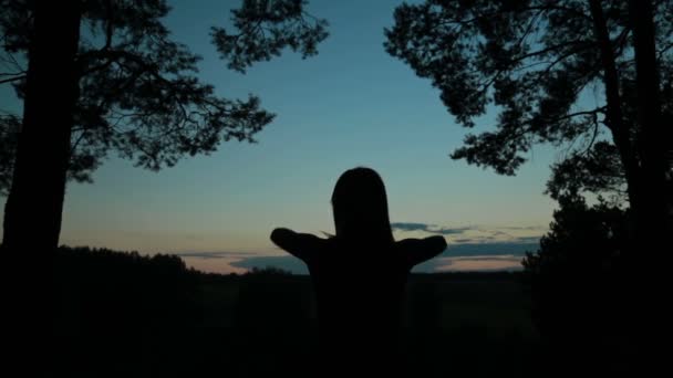 일몰 후 숲에서 하늘을 향해 기지개 하는 젊은 여자 — 비디오