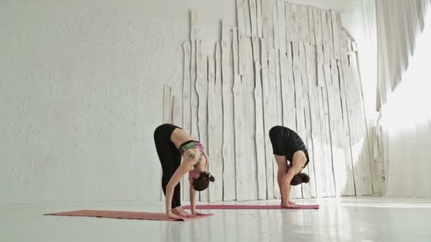 Homme et femme sportifs faisant du yoga ashtanga — Video