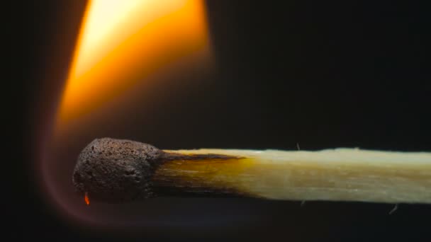 Fósforo de madera quema — Vídeos de Stock