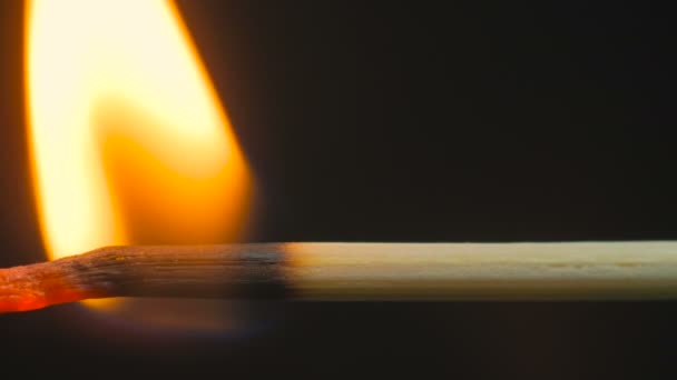 Brûler le cure-dent en bois, bâton 