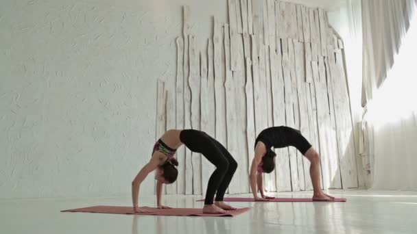 Homme et femme sportifs faisant du yoga ashtanga — Video