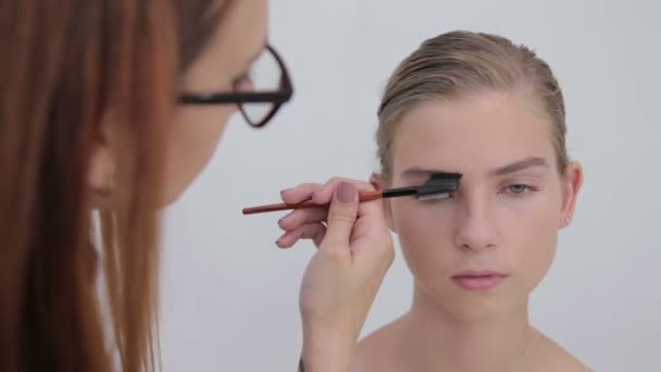 Professional make-up artist combing eyebrows of client — Stock Video