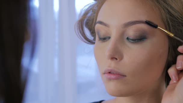 Professionele make-up artiest kammen wenkbrauwen voor client — Stockvideo