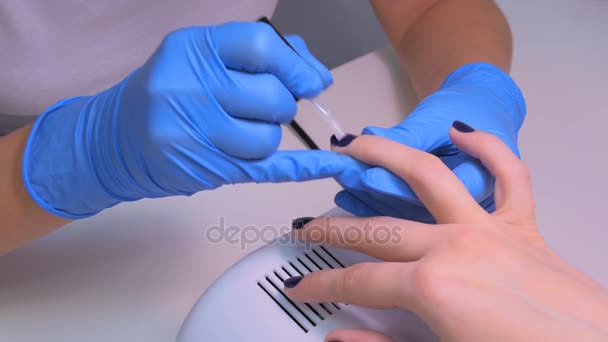 Esteticista profesional aplicando esmalte de uñas a uñas femeninas — Vídeos de Stock