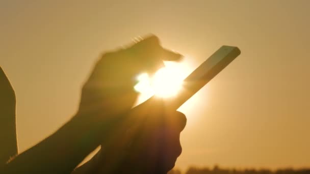 Mulher usando smartphone na floresta ao pôr do sol — Vídeo de Stock
