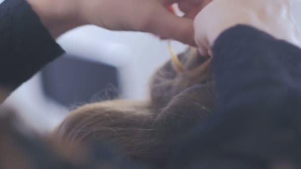 Coiffeur professionnel faisant coiffure pour jeune jolie femme 