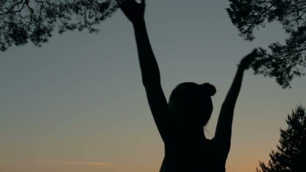 Frauensilhouette praktiziert Yoga im Wald nach Sonnenuntergang — Stockvideo
