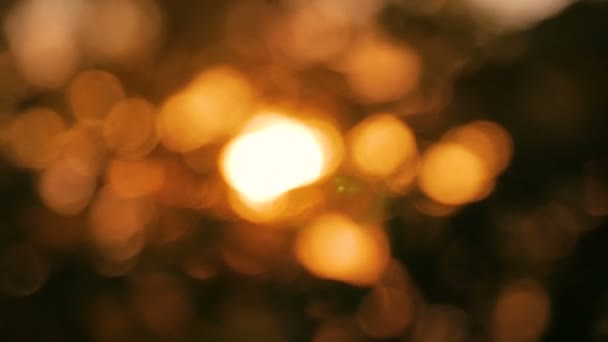 Abstrakte Natur Bokeh Hintergrund — Stockvideo