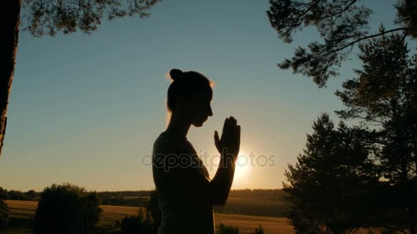 Sportovní žena cvičí jógu v parku při západu slunce — Stock video