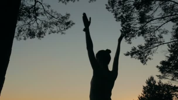 Frauensilhouette praktiziert Yoga im Wald nach Sonnenuntergang — Stockvideo