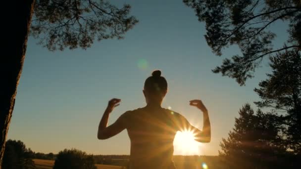 Sportliche Frau praktiziert Yoga im Park bei Sonnenuntergang — Stockvideo