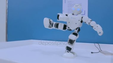 Teknoloji gösterisinde kung fu hareketleri gösteren insansı robot