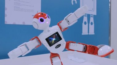 İnsansı robot kung fu hareketleri gösteren