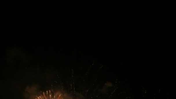 Fuochi d'artificio colorati, notte — Video Stock