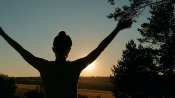 Frau praktiziert Yoga im Wald bei Sonnenuntergang — Stockvideo