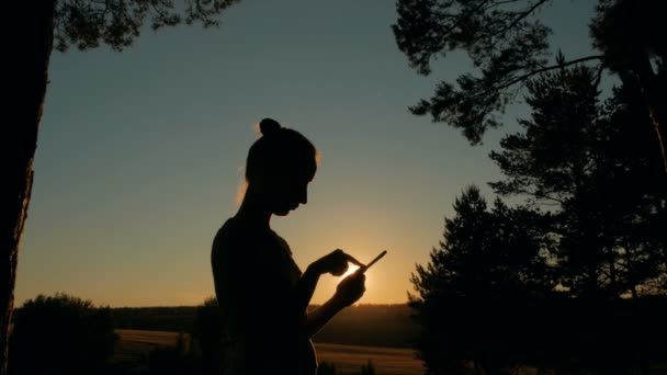 Frau benutzt Smartphone im Park bei Sonnenuntergang — Stockvideo