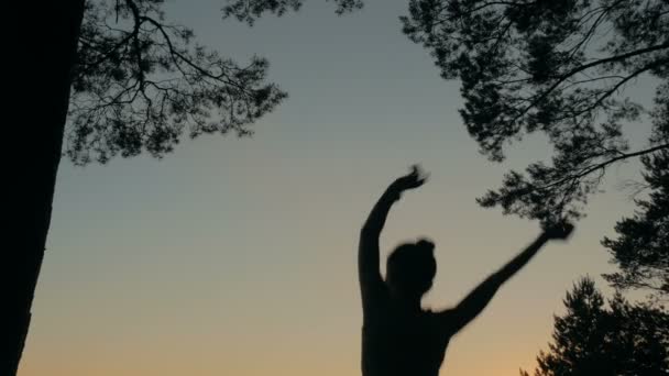 Jeune femme heureuse sautant, dansant et s'amusant en forêt après le coucher du soleil — Video