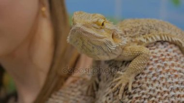 Iguana bir kadının omzunda oturuyor.