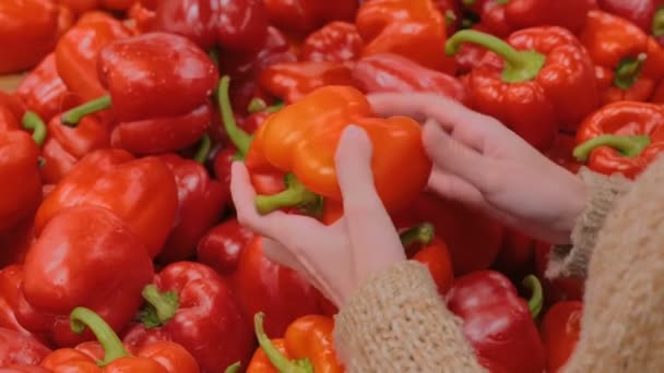 Mujer comprando pimientos rojos frescos en la tienda de comestibles — Vídeos de Stock