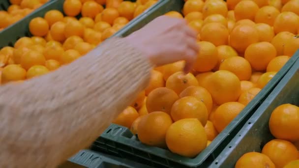 Mujer comprando mandarinas frescas en la tienda de comestibles — Vídeo de stock