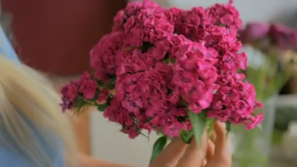 Floristería profesional preparando clavel turco rosa para ramo en el taller — Vídeos de Stock